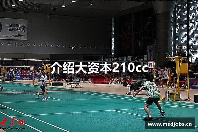 介绍大资本210cc